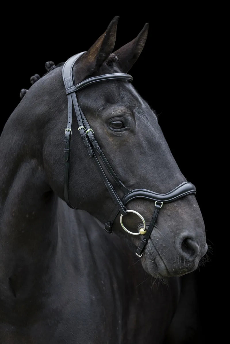 EcoRider EcoSoft Finesse Bridle Brown-1